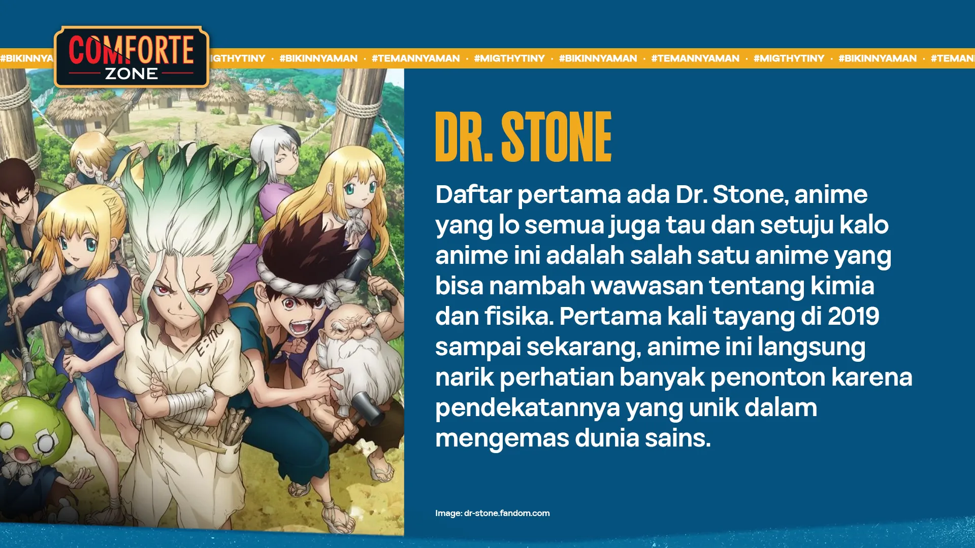 DR. STONE