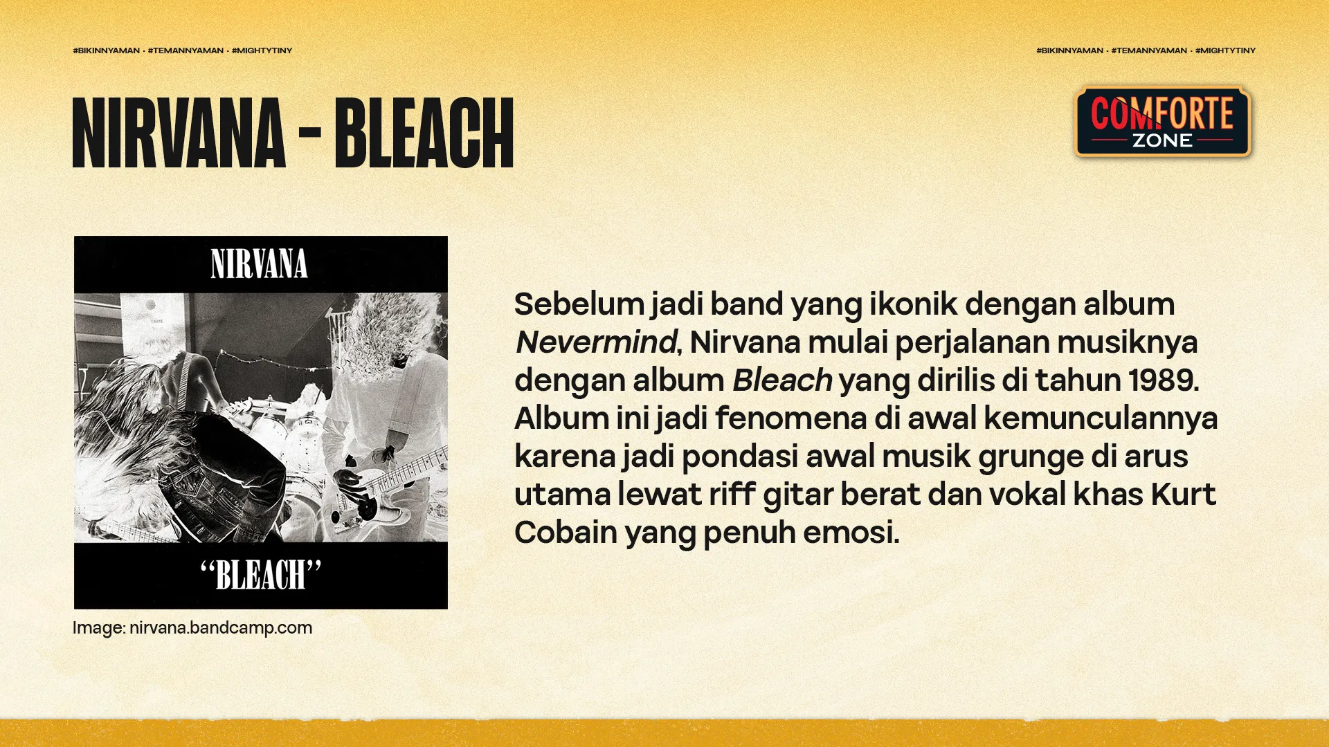 NIRVANA - BLEACH